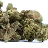 A dense green glue full-term cbd smalls hemp flower with frosty white trichomes and brown pistils