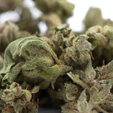 Dense green glue cbd hemp flower bud covered in white trichomes full-term wholesale cbd hemp flower product