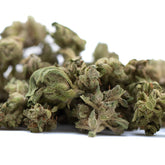 Dried glue cbd hemp flower full-term wholesale smalls showing green and brown buds covered in fine trichomes
