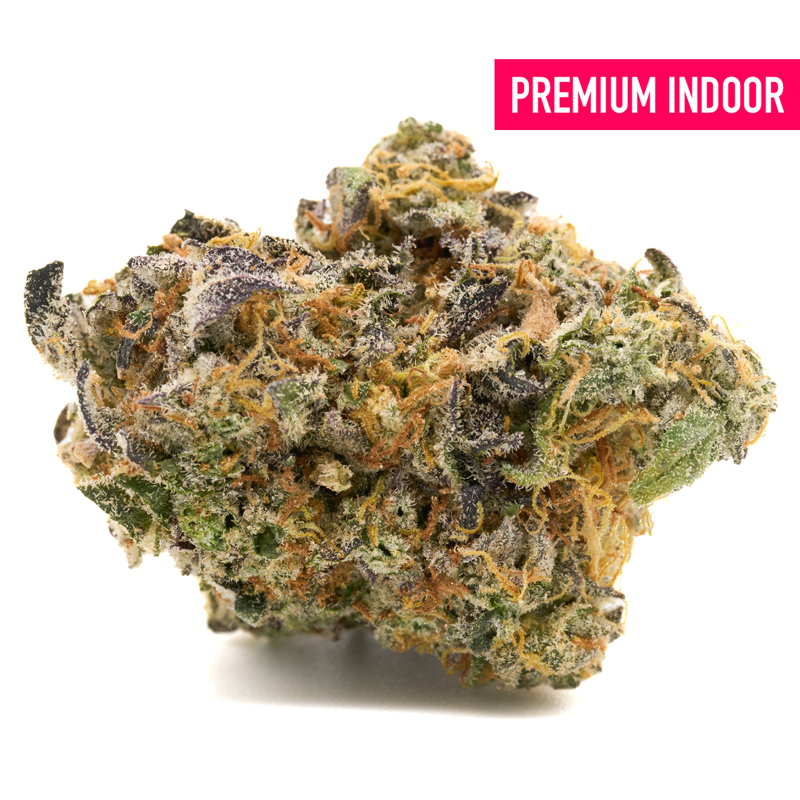 Dense GMO Indoor THCa Flower with trichomes, green, purple, and orange hues