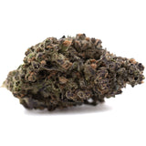 Dense resinous gmo thca flower with green purple hues and orange pistils chemdawg x gsc ultra-premium potency indoor cultivation