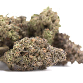 Lush dense gmo thca flower with green and brown hues covered in trichomes chemdawg x gsc ultra-premium potency indoor cultivation