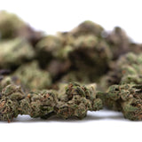 Mature gmo full term thca flower smalls with dense trichome-covered buds and subtle purple hues for girl scout cookies fans