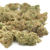 GMO THCa Hemp Flower Greenhouse - Plants