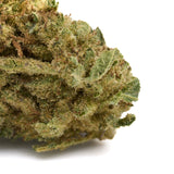 God’s Gift THCa Flower Full-Term - Plants