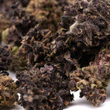 Gorilla Glue CBD Flower Trim Wholesale 1LB - 1 LB - Plants