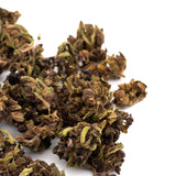 Gorilla Glue Hemp Flower Smalls - Plants