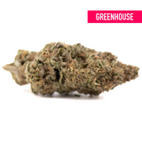 Government Oasis THCa hemp flower: green bud with trichomes