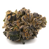 Dense trichome-covered Graffiti Mintz Indoor THCa Flower with purple, green hues and orange pistils