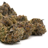 Dried Cannabis Buds with Trichomes and Purple Orange Hues Indoor Graffiti Mintz THCa Flower