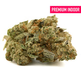 Dense Grizzly Gas indoor THCa flower bud with green orange and white hues