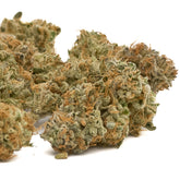 Guava Tartz THCa Flower Full-Term Wholesale - Plants