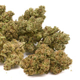 Guava THCa Hemp Flower - Plants