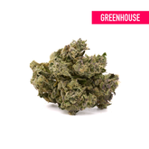 Gush Mintz THCa Hemp Flower Greenhouse - Plants