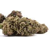 Halle Berry super sweet THCa hemp flower bud with green hues and trichomes