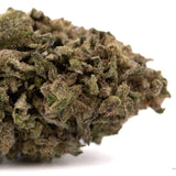 Halle Berry THCa hemp flower: green bud with dense trichomes