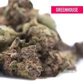 A dense halle berry thca greenhouse hemp flower bud with green and purplish hues covered in trichomes