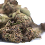 A dense resinous halle berrys thca greenhouse hemp flower bud with green and purplish hues covered in trichomes
