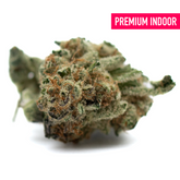 Dense trichome-covered cannabis bud with orange pistils from Hash Man Indoor THCa Flower