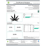 Hawaiian Haze 30% CBD Pre-Rolls 1 gram - 1 GRAM - Premium