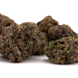 Highlighter THCa Indoor Flower with dense dark green cannabis buds, orange hairs, and white trichomes, perfect for orchard swirl synergy and bubble bath experiences