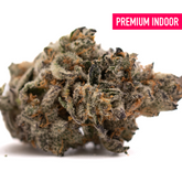 Hooch Indoor THCa Flower with dense trichome-covered purple cannabis bud and orange hairs