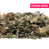 Huckleberry Diesel Indoor THCa Trim Wholesale