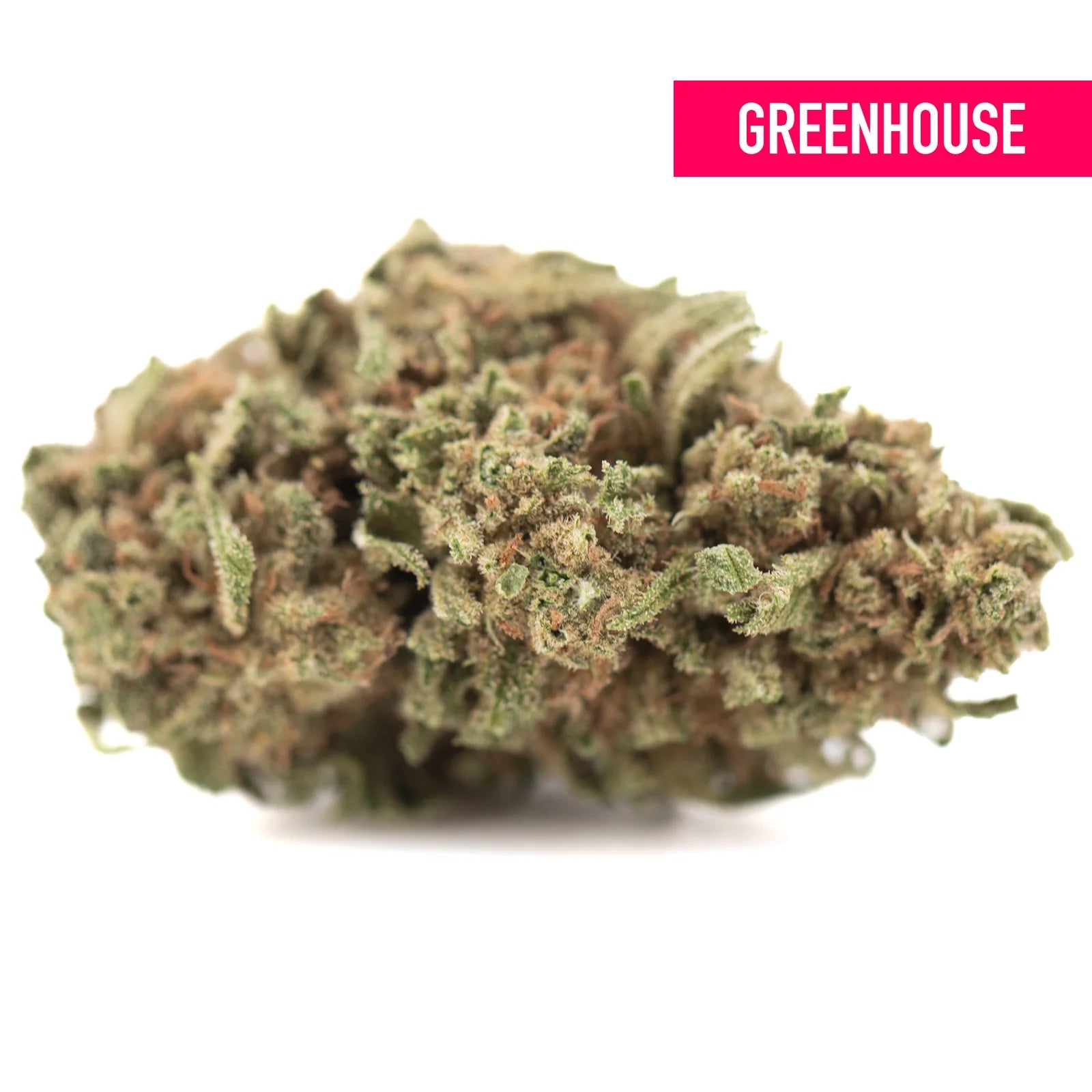 Dense green and brown humboldt dream thca hemp flower with super sticky frosty texture from humboldt county