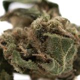 A dense green ice cream full-term thca flower bud with trichomes and brown pistils in hemp flower form