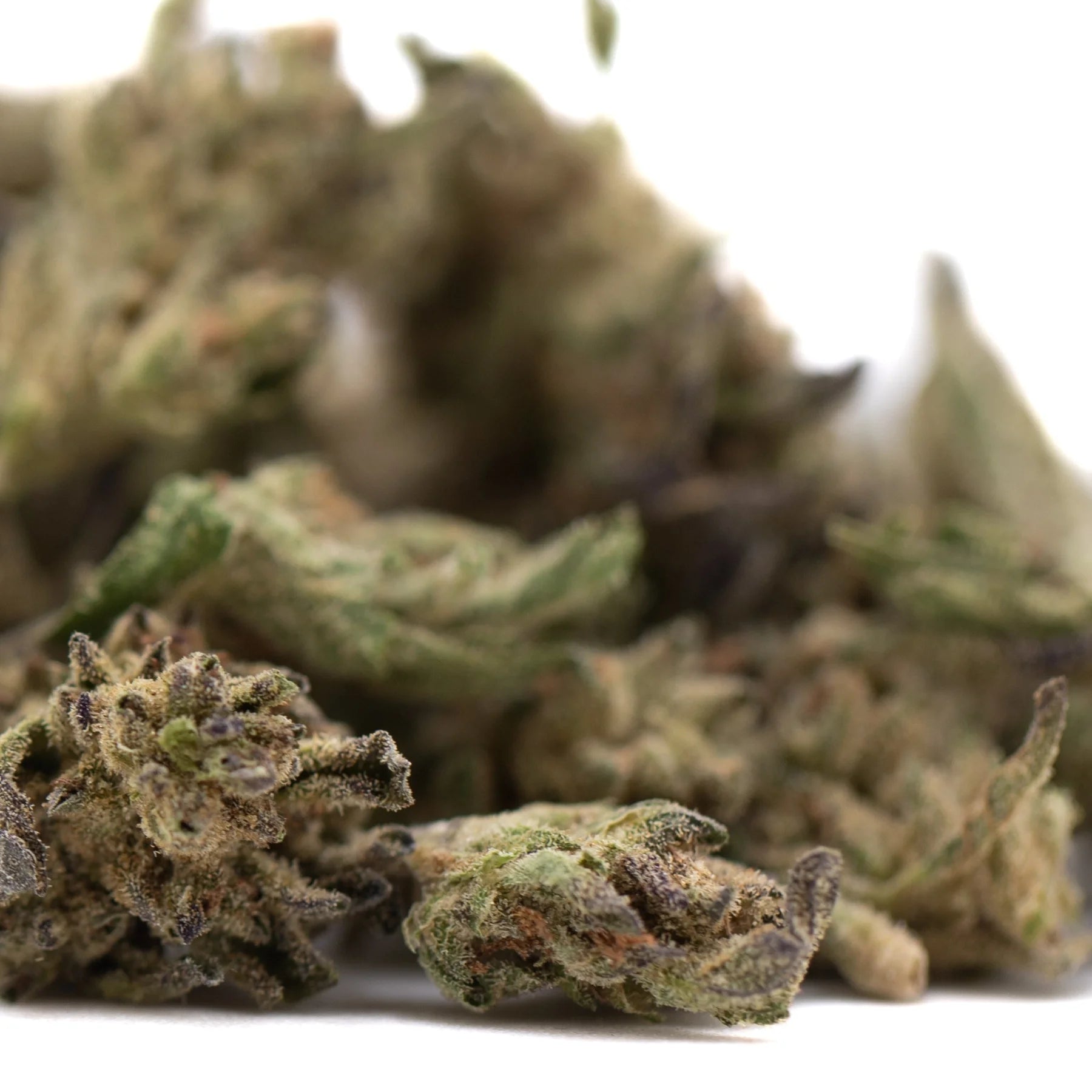 A pile of ice cream full-term thca flower hemp flower buds with dense trichomes and greenish purple hues