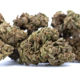 Dried ice cream thca flower buds with dense trichomes and greenish brown hues showcasing wholesale thca potency