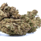 Lush dense ice cream thca flower buds with green and brown hues showcasing total cannabinoid potency wholesale