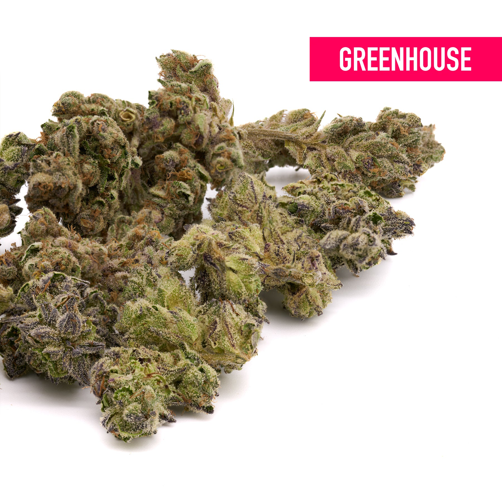 Green Inferno THCA flower with purple hues and visible trichomes for wholesale hemp flower
