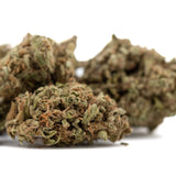 Jelly Mints THCa Flower: Green Brown Hemp Bud with Trichomes