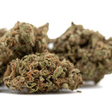 Jelly Mints THCa Flower Full-Term Wholesale