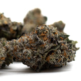 Close-up of Jessica Rabbit Indoor THCa Flower with orange hairs and frosty trichomes