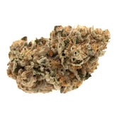 Jessica Rabbit THCa Flower Full-Term - Plants