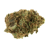 Jet Fuel Gelato THCa Flower Full-Term - Plants