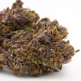 Close-up of a purple and orange cannabis bud from Jimi Hendrix Indoor THCa Flower, sour lemon hemp flower
