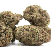 Joker OG THCa hemp flower bud with sour diesel notes