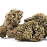 Joker OG’s THCa hemp flower bud, sour diesel strain