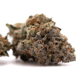 Jokerz Candy’s Orchard Swirl Grape Gasoline cannabis bud with trichomes and orange pistils