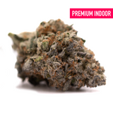 Jokerz Candy’s Orchard Swirl Grape Gasoline cannabis bud covered in trichomes and orange pistils