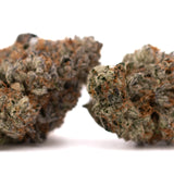 Dried cannabis buds with orange hairs from Jokerz Candy’s Orchard Swirl Grape Gasoline strain