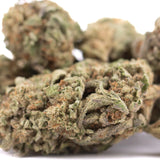 A dense green jokerz candy thca hemp flower with frosty trichomes and orange pistils grown in greenhouse cultivation