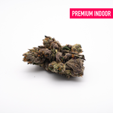 JokerZ Indoor THCa Flower - Plants