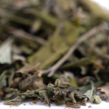Dried sage leaves with green and brown hues showcasing textured surfaces in jokerz nos greenhouse thca trim wholesale