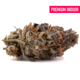 Premium Jokerz NOS indoor hemp flower with orange hairs and purple hues