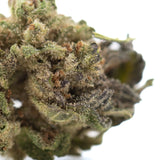 Jokerz nos thca hemp flower dense green bud with trichomes and orange pistils in greenhouse smalls variety