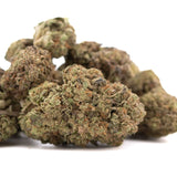 Dried jokerz NOS THCa hemp flower with dense green and brown buds featuring white runtz genetics and near-maximum potency